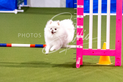 12-8-9-10-Jen-Pinder-1309