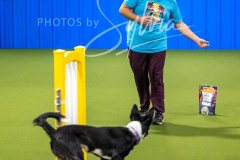 12-8-9-10-Jen-Pinder-131