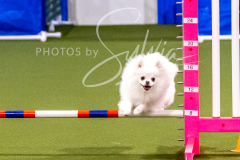 12-8-9-10-Jen-Pinder-1310