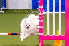 12-8-9-10-Jen-Pinder-1311