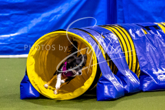 12-8-9-10-Jen-Pinder-1319