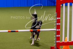 12-8-9-10-Jen-Pinder-1321