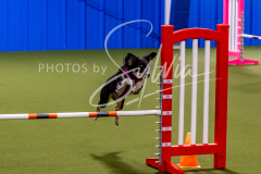 12-8-9-10-Jen-Pinder-1323