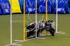 12-8-9-10-Jen-Pinder-1329