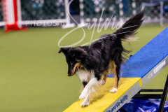 12-8-9-10-Jen-Pinder-1339