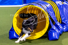 12-8-9-10-Jen-Pinder-1340