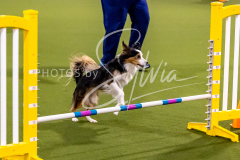 12-8-9-10-Jen-Pinder-1345