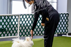 12-8-9-10-Jen-Pinder-1346