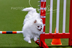 12-8-9-10-Jen-Pinder-1350