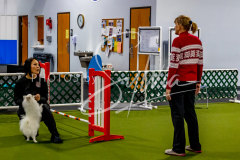 12-8-9-10-Jen-Pinder-1351