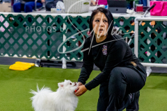 12-8-9-10-Jen-Pinder-1355