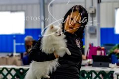 12-8-9-10-Jen-Pinder-1358