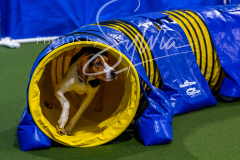 12-8-9-10-Jen-Pinder-1361