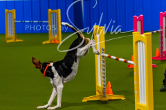 12-8-9-10-Jen-Pinder-1362