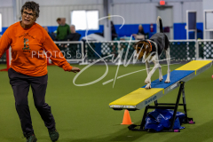 12-8-9-10-Jen-Pinder-1364