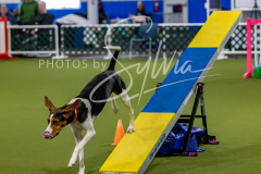 12-8-9-10-Jen-Pinder-1365