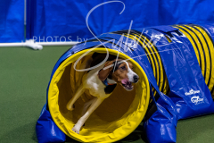 12-8-9-10-Jen-Pinder-1366