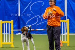 12-8-9-10-Jen-Pinder-1376