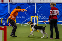 12-8-9-10-Jen-Pinder-1382