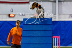 12-8-9-10-Jen-Pinder-1386