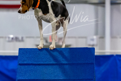 12-8-9-10-Jen-Pinder-1387