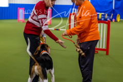 12-8-9-10-Jen-Pinder-1390