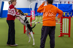 12-8-9-10-Jen-Pinder-1391