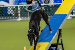 12-8-9-10-Jen-Pinder-1397