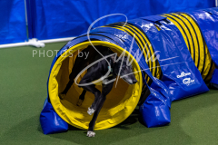 12-8-9-10-Jen-Pinder-1398