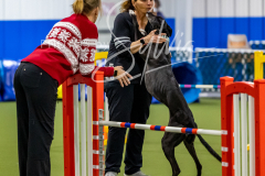 12-8-9-10-Jen-Pinder-1404