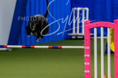 12-8-9-10-Jen-Pinder-1410