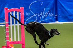 12-8-9-10-Jen-Pinder-1411