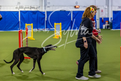 12-8-9-10-Jen-Pinder-1414