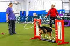 12-8-9-10-Jen-Pinder-142