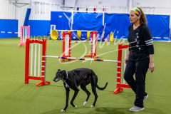 12-8-9-10-Jen-Pinder-1425