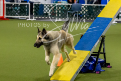 12-8-9-10-Jen-Pinder-1429