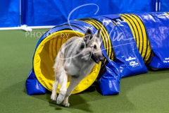 12-8-9-10-Jen-Pinder-1430