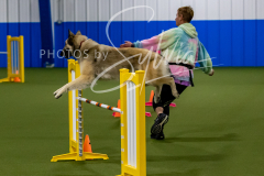 12-8-9-10-Jen-Pinder-1431