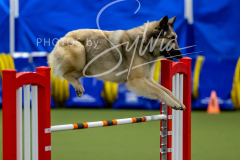 12-8-9-10-Jen-Pinder-1435