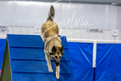 12-8-9-10-Jen-Pinder-1437