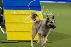 12-8-9-10-Jen-Pinder-1438