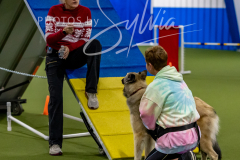 12-8-9-10-Jen-Pinder-1440