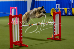 12-8-9-10-Jen-Pinder-1444