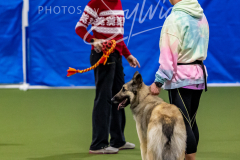 12-8-9-10-Jen-Pinder-1448