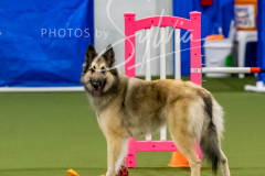 12-8-9-10-Jen-Pinder-1451