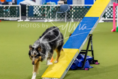 12-8-9-10-Jen-Pinder-1463