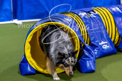 12-8-9-10-Jen-Pinder-1464