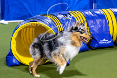 12-8-9-10-Jen-Pinder-1472