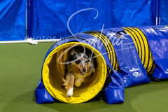 12-8-9-10-Jen-Pinder-1475