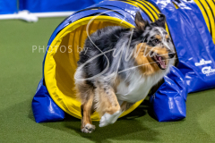 12-8-9-10-Jen-Pinder-1476